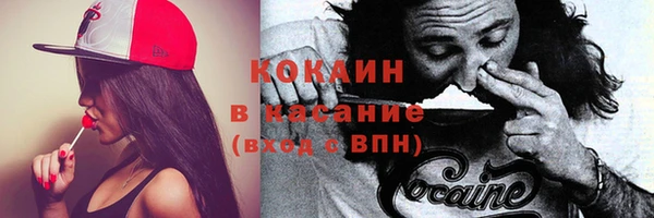 МДПВ Бронницы