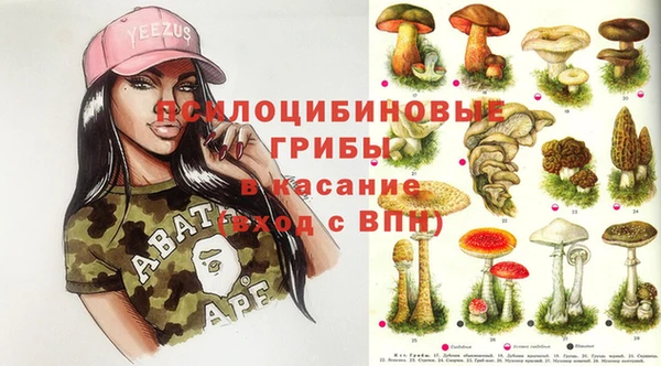 МДПВ Бронницы