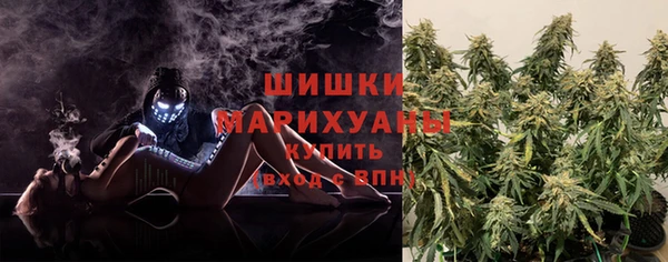 МДПВ Бронницы