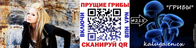 площадка официальный сайт  Можайск  Псилоцибиновые грибы мицелий 
