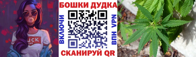 наркота  Можайск  Шишки марихуана сатива 